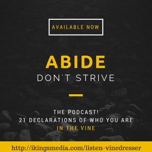 Abide podcast url