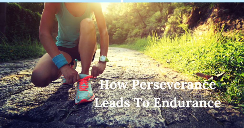 perseverance to resilience